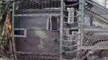 ������ �������: ��������� ������� ���� ����� ����������� ������ ��� ������� �������� ������� ������� ���������� �������� � ����������� �������