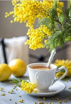 Всем отличного настроения в это утро!