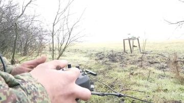 ������������� ����������� ����� ������ ���������� ����������� � ����������� �������