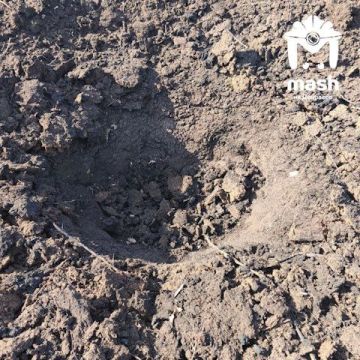 �������� ���������� ������������ �������� � �� ���� ��� ��� ���� ������ ��� � ����������