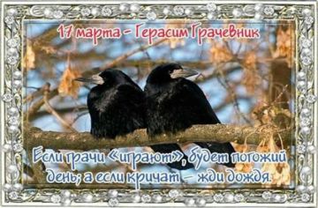 Народный календарь: Герасим Грачевник