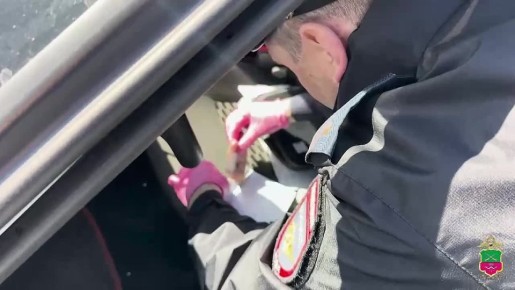 ������� �������� ��������������� ���������� ��������� �����