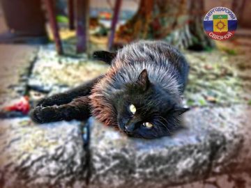 ������ ����. ����������� ����������� ����������!