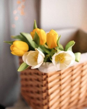 ������ ���� ����!