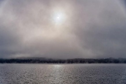 В Запорожской области до конца суток ожидаются туманы