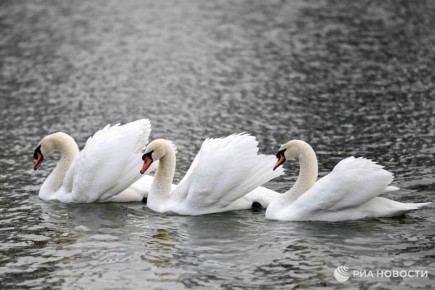 Погода на новых территориях России