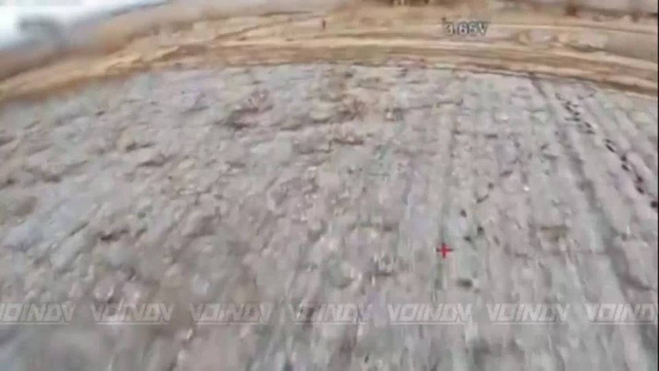 1. � ���� ������ ���������� ��������� ������ ������ ���������� �� ������� 82 ����� ��� � ������ �.�. �������������