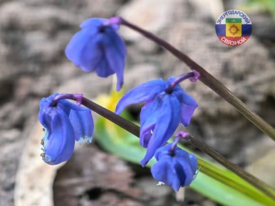 ������ ����, ������.. ����� �� �����������, ������� �� ��������. ������ �� ����� ������� ������� �����. ����� ���� ������ ��������� �������