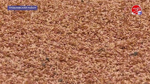 � ����������� ������� ���������� �������� �������� ��������