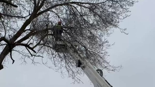 ���������� ��� "�������-������������ ���������" �������� � ������� ����������� ���������� ����� � ��������