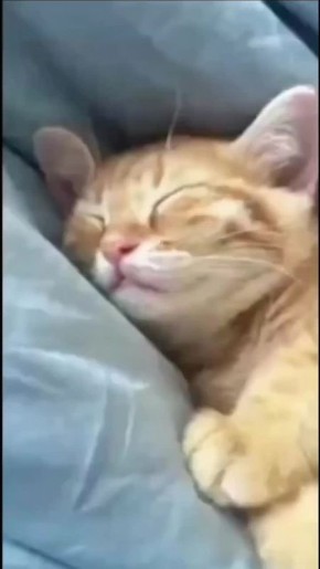 ��� � �����. ��� ���� ���� ������, ������������ � ��������