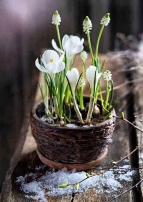 С добрым утром!