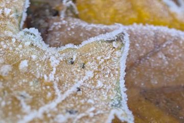 ��������� ������������ � ������ ���������� � ������� ����� � ����������� �������