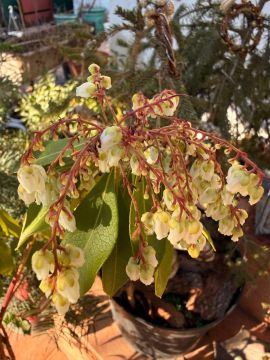 ������ ����. � �� �����, ��� �������