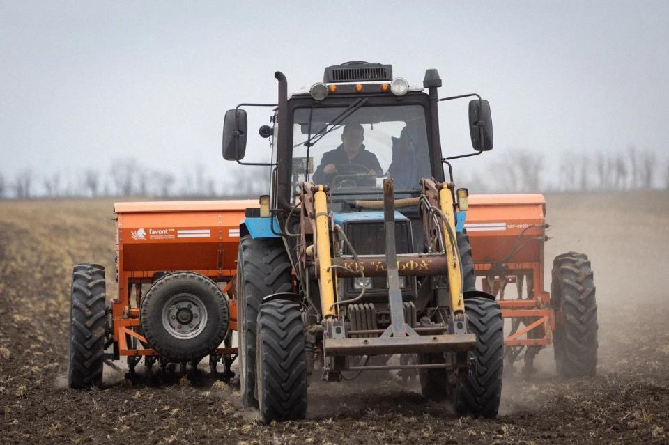 ����� � ������. � ����������� ������� ���������� �������� �������� ��������