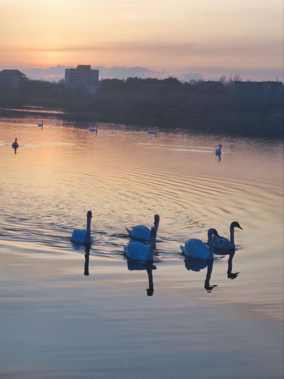 Дорогие наши!. Вечер пятницы на дворе! Отправляемся на выходные