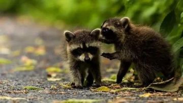 Доброе утро, друзья! Хорошего вам дня и отличного настроения!