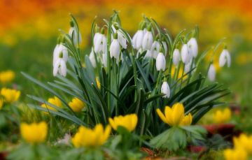 Доброе утро. А вы знали, что сегодня