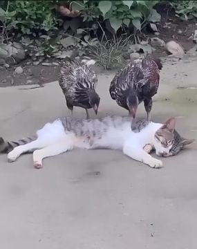 ��� � ��������. � ����� ���� ��� ��������