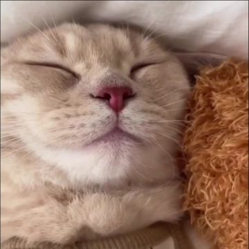 Суббота пролетела. После насыщенного дня и сон крепче