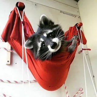 Доброй ночи, дорогие подписчики! Доброй ночи, Запорожье!