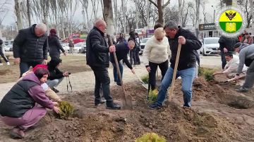 ������ ��������: ������� �� ������ � ������������ �������������, ����������, ���������� ������������� � �������������� �������� ������� ������������ ����� �� ������� ��������