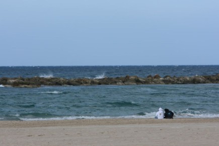 � ����������� ������� ��������� ��������� ��������������