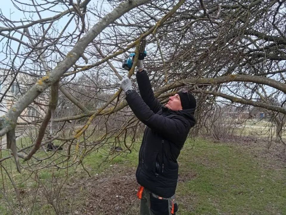 � ��������� ������������ �������� ����������