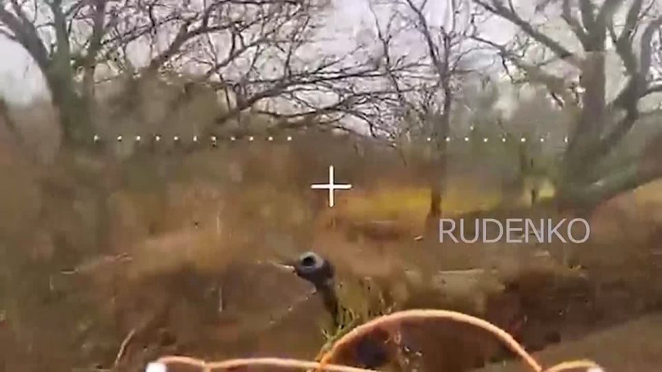 ������ �������: ������������� ����������� ������ �������������� ����������� ���������� ������� � ������ ������ ��� �� ���������� ����������� � ����������� �������