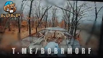 Кадры боевой работы операторов FPV-дронов отряда БОБР