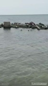 ��������� ����� �� �������� ���� � ���������