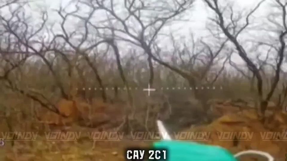 ��������� �������� ������ ����������-������������� 305 ������� 5 ����� ����������� ����� "������" �� ��������� ������ �� ����������� �����������