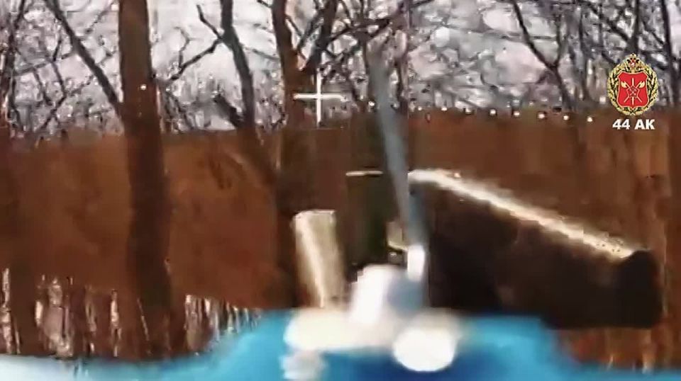 �� ������ � ������ ������� ���� 44 ���������� ������� �� �������������� ����� ����������