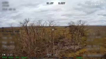 �������� ����� ����������� ��������� ������ ����� ���� ����������, ������������ � ���� ����� ����� �������������