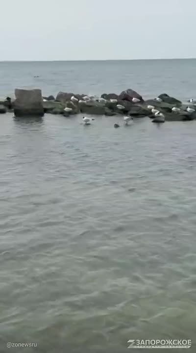 ��������� ����� �� �������� ���� � ���������