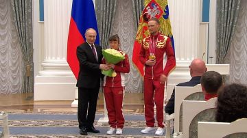 ������ �����������: ���� ������������, ��������� ����� ������ �������, ��������� � �������������� ��� � ������ � ��������, ������� ������ � �������