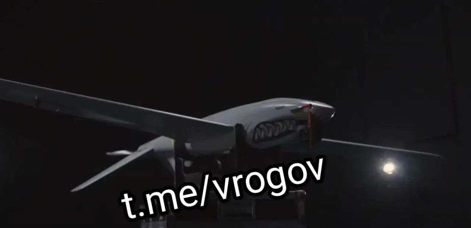 Владимир Рогов: Внимание - вражеский дрон-разведчик!