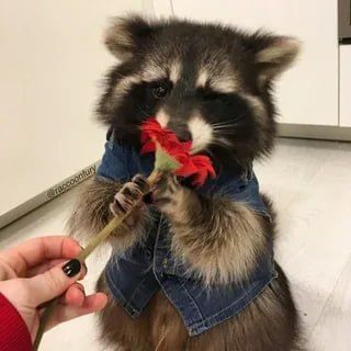 ������ ����, ������! �������� ��� ��� � ��������� ����������!