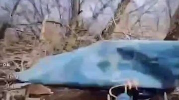 Наши операторы дронов поделились результатами своей работы по очищению российской земли от нацизма!