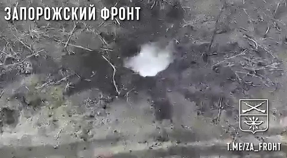 ��������� FPV-������ � ��������� ����� � ����� ���������� "�����" ���������� ����� �� ��� �� ����������� �����������
