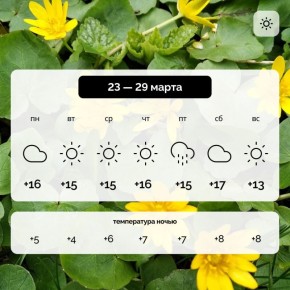 ������ � ����������� ������� �� 23 � 29 �����