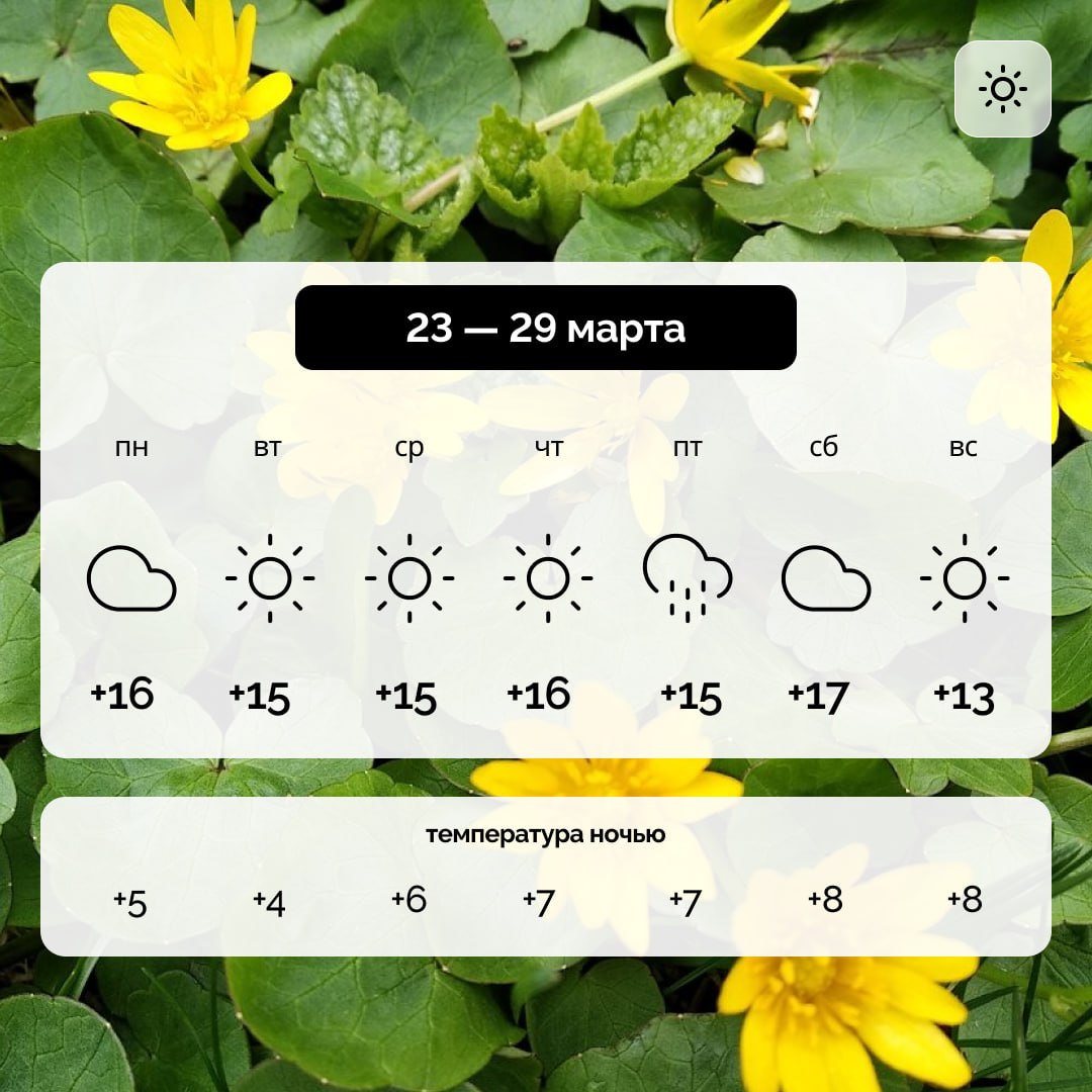Погода в Запорожской области на 23 — 29 марта