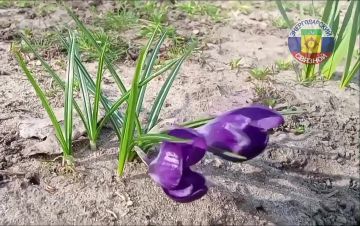 Доброе утро! Пусть все мечты сбываются и планы выполняются!