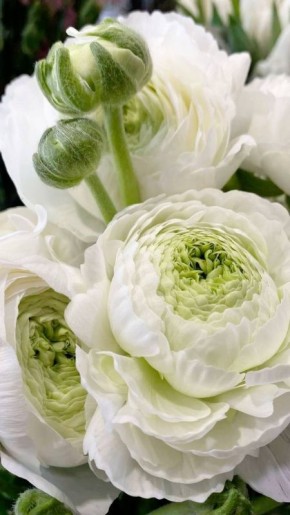 ������ ����!. 23�����, ����������� ������ ������ � ������� ����� �������� ����� � ���� � �������� ����� �� ��������� ���