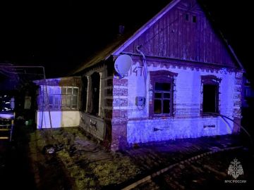 Многодетную мать из Приазовского района обвинили в смерти двух дочерей и сына