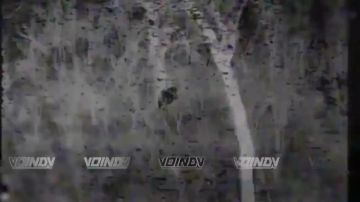 ��������� �������� ������ ������ ���������� ���� 14 ����������� ������� �������� ����������� ����� "������" �� ����������� ����� ���� ��� �� ����������� �����������