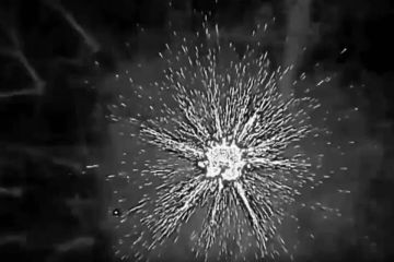 ��������� ������ ��� � ����������� ������� ���������� ������� ���� ��������