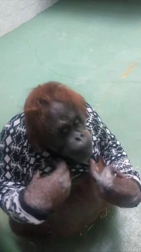 Когда встретила бывшего спустя 5 лет, а он не изменился