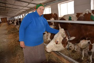 � ����������� ������� ������ ����� �����������, ���������� �������� �� �������� ����