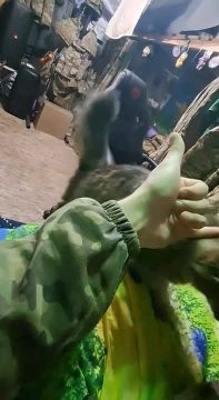 ������ ���� ��������, ����������� �������!